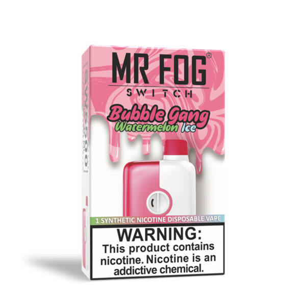 Bubble Gang Watermelon Ice - Mr Fog Switch 5500 Puffs