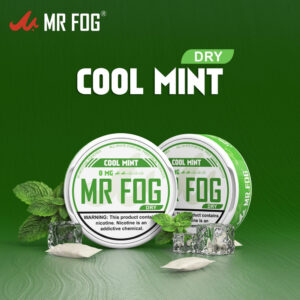 DRY - COOL MINT - MR FOG NICOTINE POUCHES 8MG - 20CT/5PK
