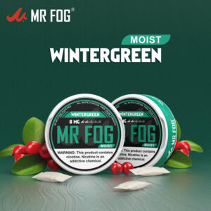 MOIST - WINTERGREEN - MR FOG NICOTINE POUCHES 8MG - 20CT/5PK