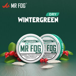 DRY - WINTERGREEN - MR FOG NICOTINE POUCHES 8MG - 20CT/5PK