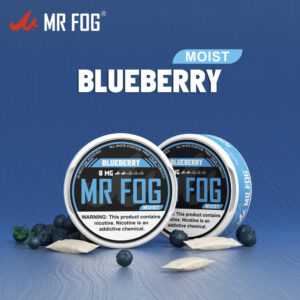 MOIST - BLUEBERRY - MR FOG NICOTINE POUCHES 8MG - 20CT/5PK