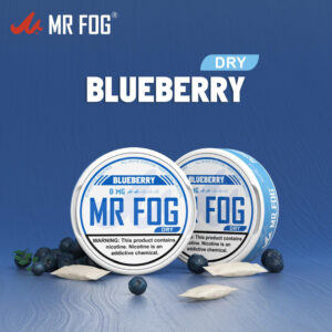 DRY - BLUEBERRY - MR FOG NICOTINE POUCHES 8MG - 20CT/5PK