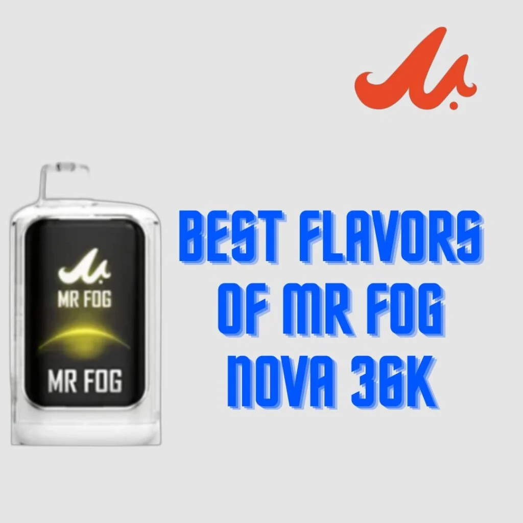 mr fog 1 1024x1024 1
