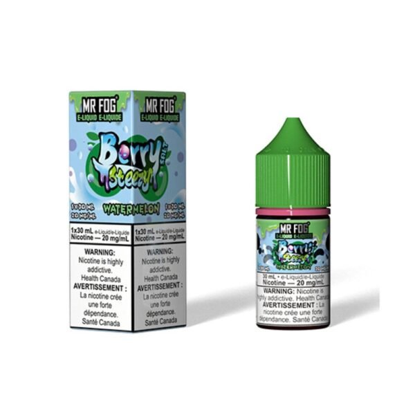 Watermelon Mr Fog Berry Steezy Salt Nic
