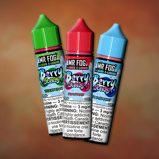 MR FOG SALT E LIQUID BERRY STEEZY
