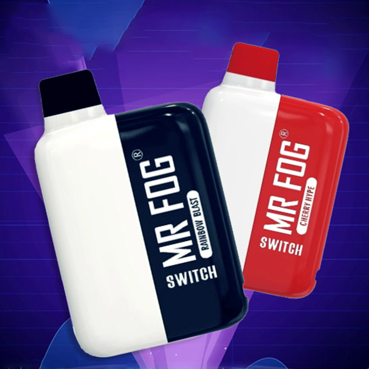 Mr Fog Switch 5500