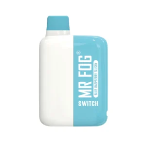 Blue Raspberry Slushy - Mr Fog Switch 5500 Puffs – Disposable