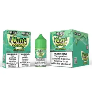 Spearmint - Mr Fog Mint Steezy Salt E-Liquid - 30ml
