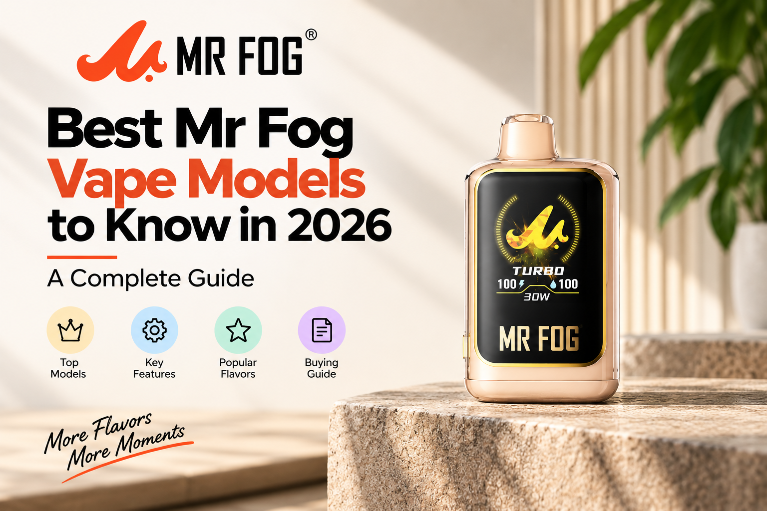 Home 29 Mr Fog