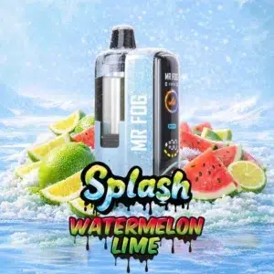 Watermelon Lime Mr Fog Switch